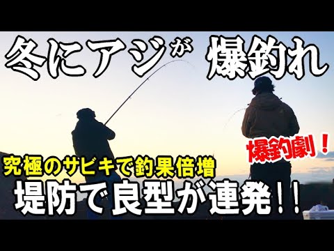 堤防サビキでアジが爆釣れるマズメの攻め方！冬でもアジが入れ食う【究極のサビキ】とカゴの使い分けで釣果倍増しました→アジパーティー
