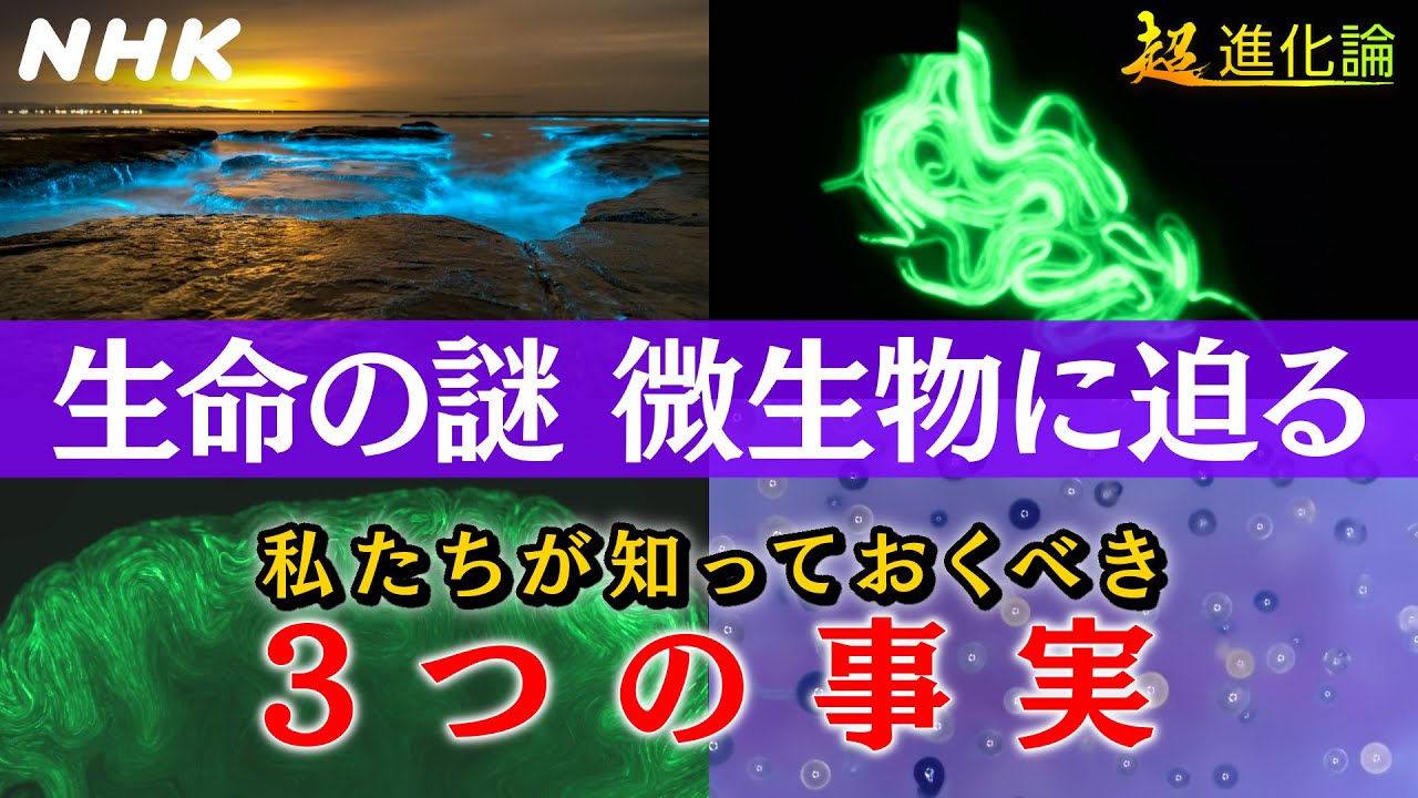 [NHKスペシャル] 微生物なしに私たちは存在しない！？最新科学が解き明かす驚きの事実 | 超進化論 | NHK