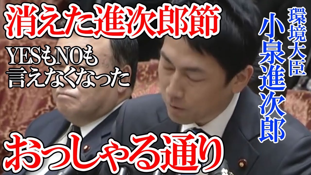 【小泉進次郎答弁】消えた進次郎節『おしゃる通り』YESもNOも言えなくなった環境大臣小泉進次郎【国会中継切り抜き】