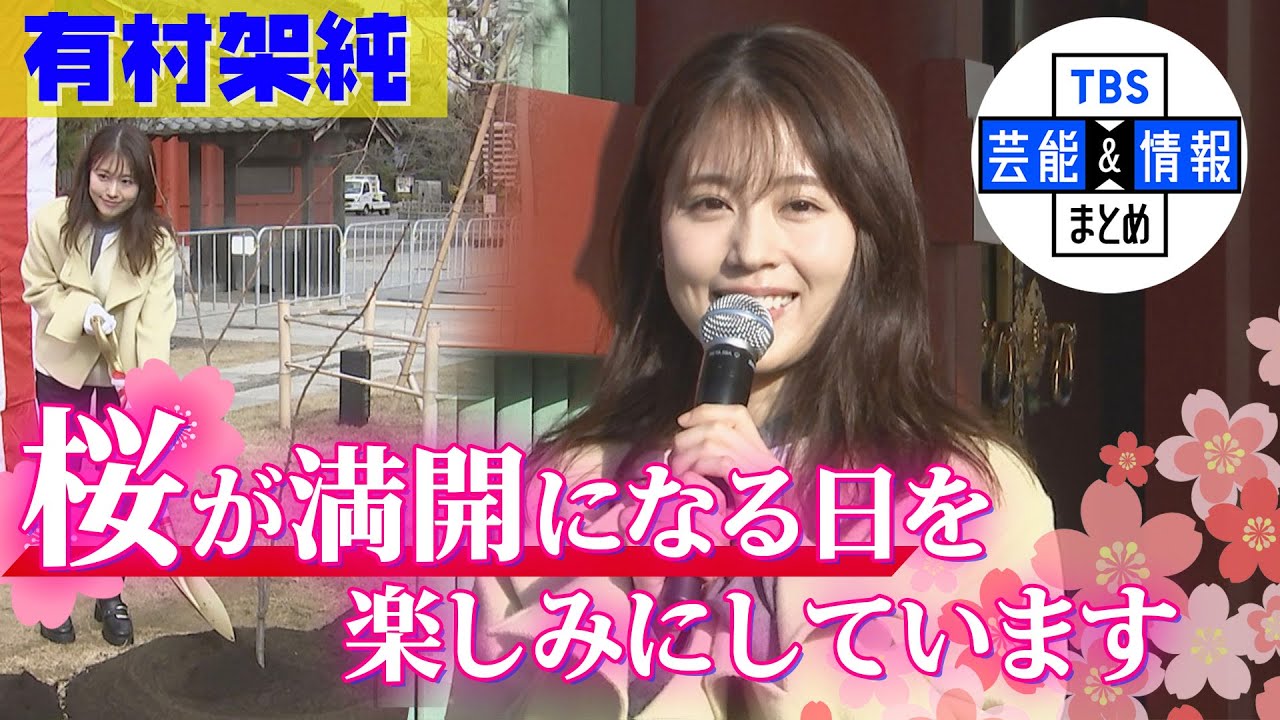 【有村架純】“桜が満開になる日を楽しみにしています” ＜浅草寺に桜の記念植樹＞