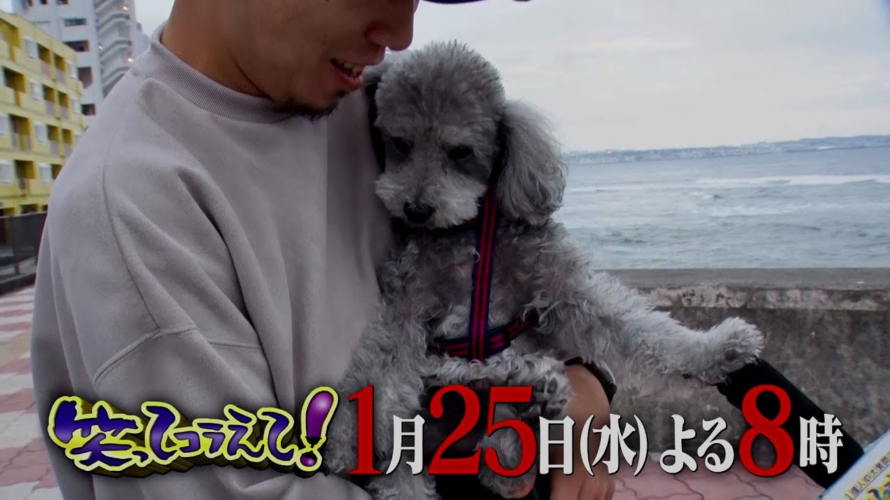 笑ってコラえて！日本全国飛び回っちゃうスペシャル！