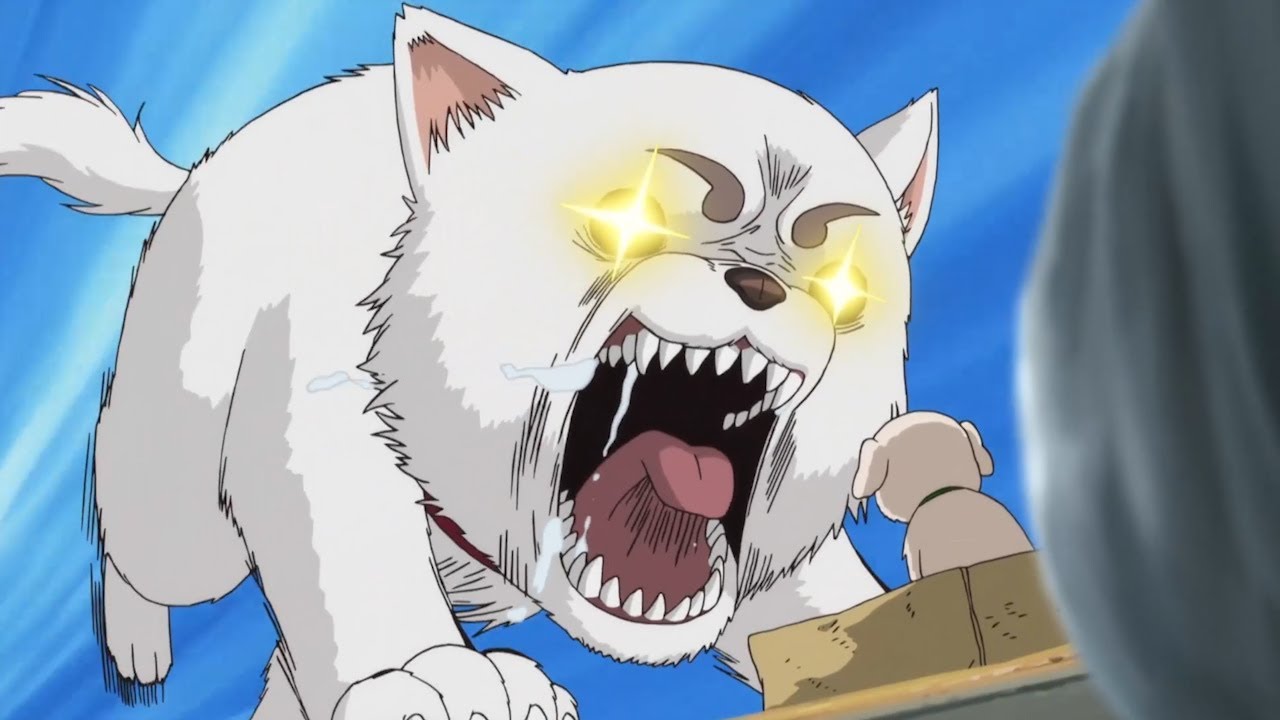 銀魂【最も特別な瞬間#139】帯一と志村新八の決戦│Gintama [FULL HD 1080]