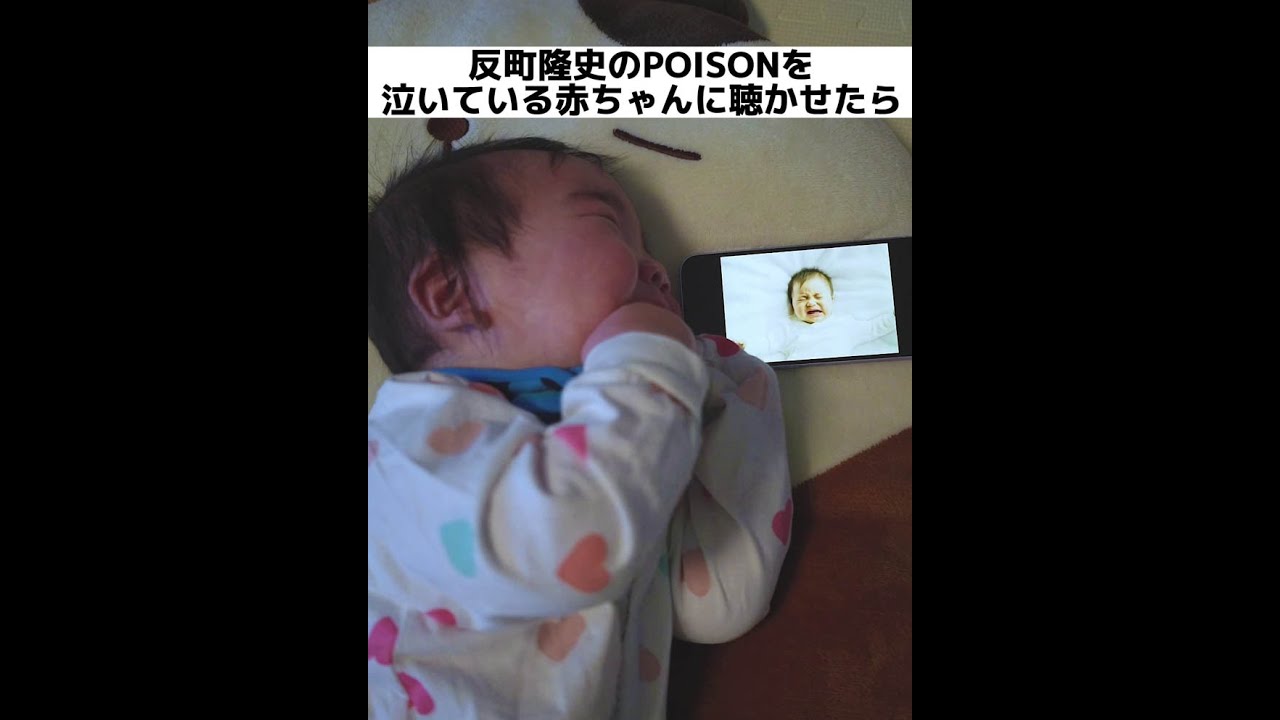 【検証】泣き止むと有名な反町隆史のPOISONを泣いている赤ちゃんに聴かせたら…ｗ【寝かしつけ】 #Shorts