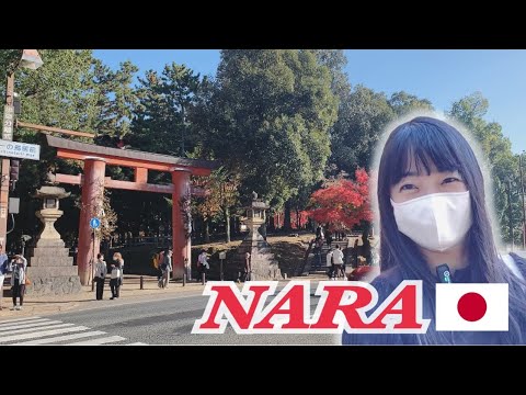 【日本旅行】奈良Vlog