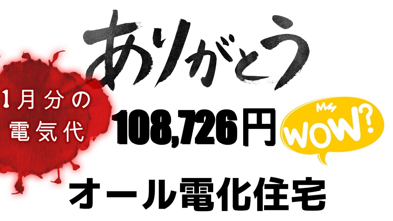 【オール電化/ヤバすぎる】1月分の請求書が来て　びっくり！！　なんじゃこりゃ（松田優作風）　これじゃ電気代で破産しますね　概要欄に過去履歴　泣