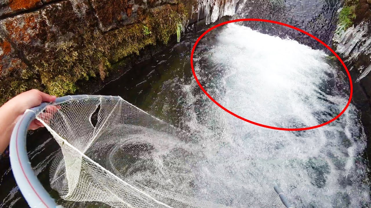 南アルプスの水路を巨大網ですくうと・・・すごすぎた！！！