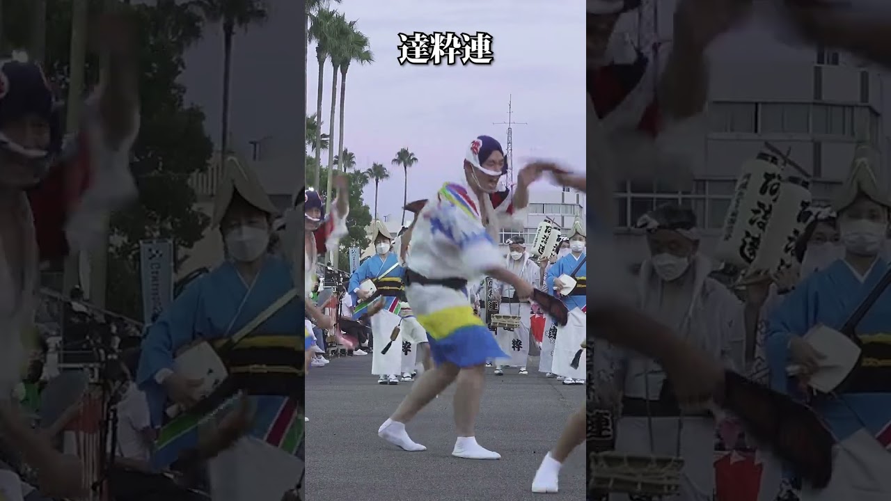徳島県阿南市の黄色の衣装とダイナミックな踊りの達粋連_阿波踊り2022