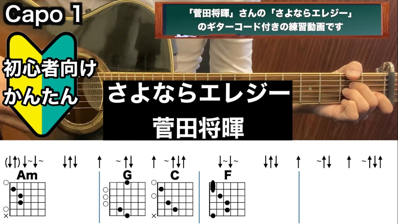 さよならエレジー/菅田将暉/ギター/弾き語り/コード/初心者向け/簡単