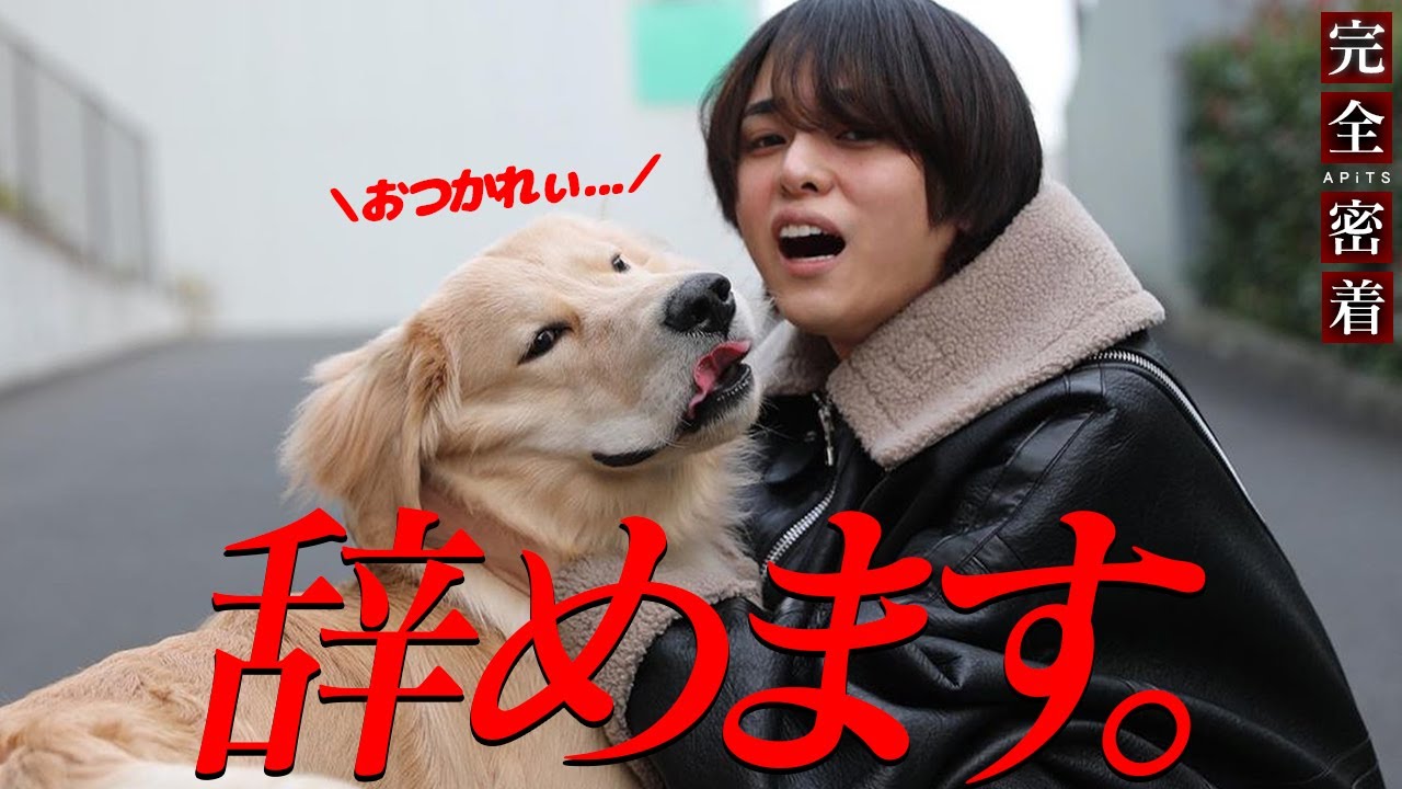【悲報】35歳カリスマホスト引退の理由…1ヶ月で4500万円売り上げた、ゴールデンレトリバーと2人暮らしの凰華 麗プロデューサーに完全密着【Smappa!Group / APiTS】