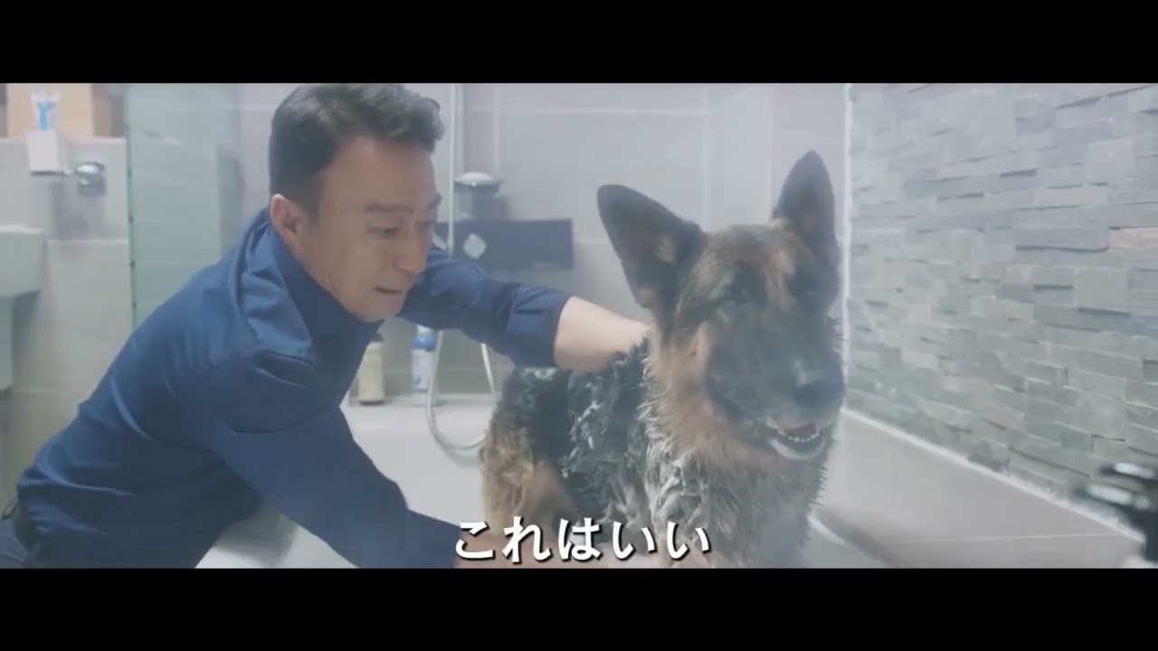 もしも、動物の声が聞こえるようになったら…/映画『SP 国家情報局：Mr.ZOO』予告編