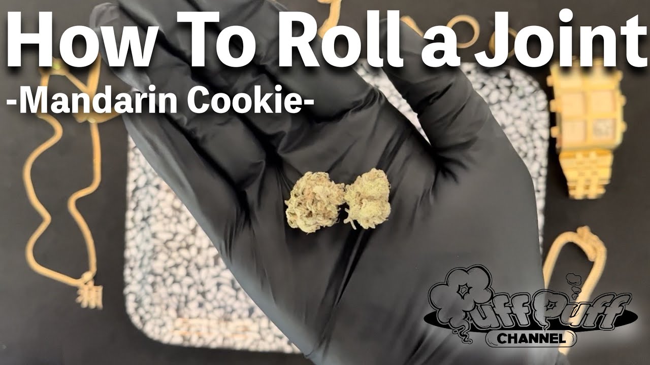 Mandarin Cookieという大麻を吸ってみた!【How To Roll a Joint】