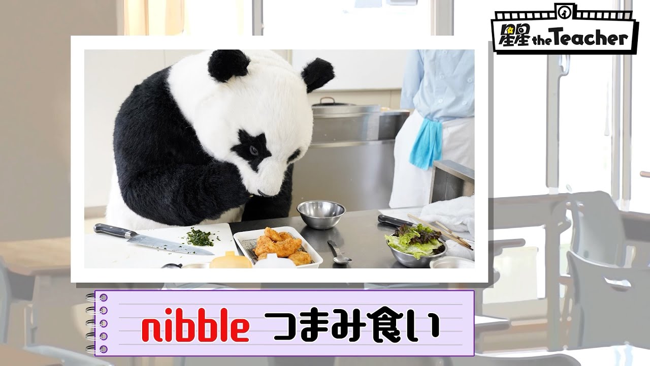 nibble（つまみ食い）【ベラベラENGLISH　星星 the Teacher】