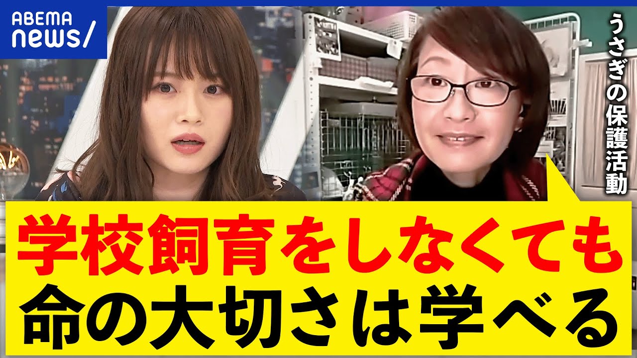 【うさぎ】学校飼育は残虐？適正な環境は？命の大切さどう教育？