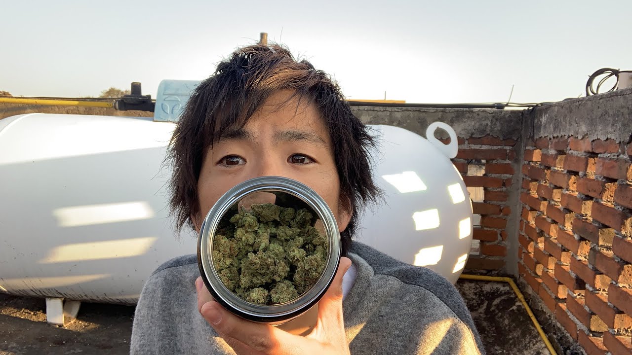 大麻吸いながら新年明けましておめでとう