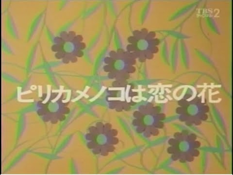なんたって18歳！ 第36話 ピリカメノコは恋の花