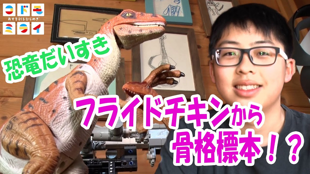 恐竜大好き！フライドチキンから骨格標本！？生物の進化を研究する大塚蓮さんのひらめきとは【コドモミライあすを創るひらめき】