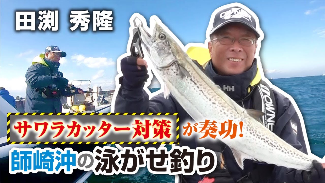 サワラカッター対策が奏功！師崎沖の泳がせ釣り