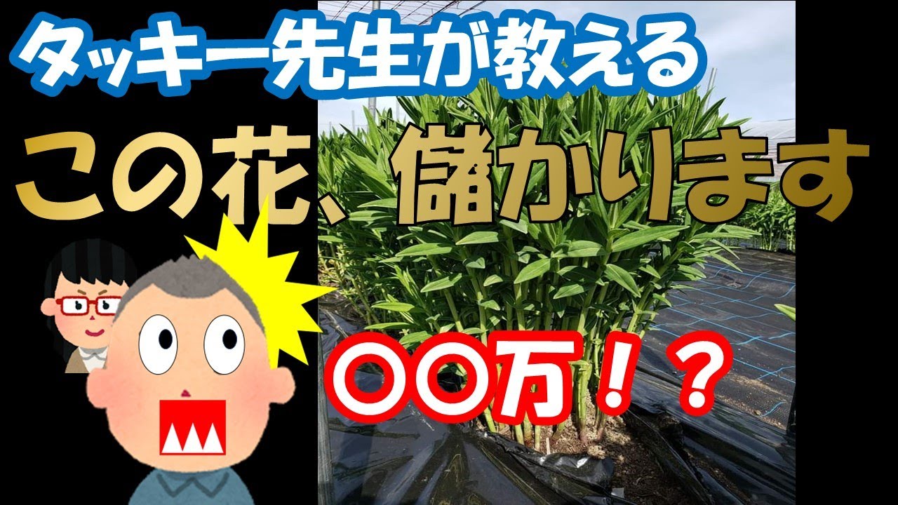 花き指導歴３５年が教える、儲かる花はこれだ！！