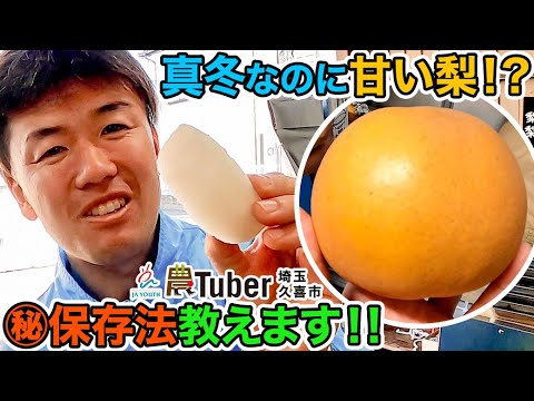 埼玉・真冬なのに甘い梨！？㊙保存法教えます！！～埼玉・久喜市～ 第4代農Tuber 渡邉雅弘 / JAグループ「農Tuber」ちゃんねる