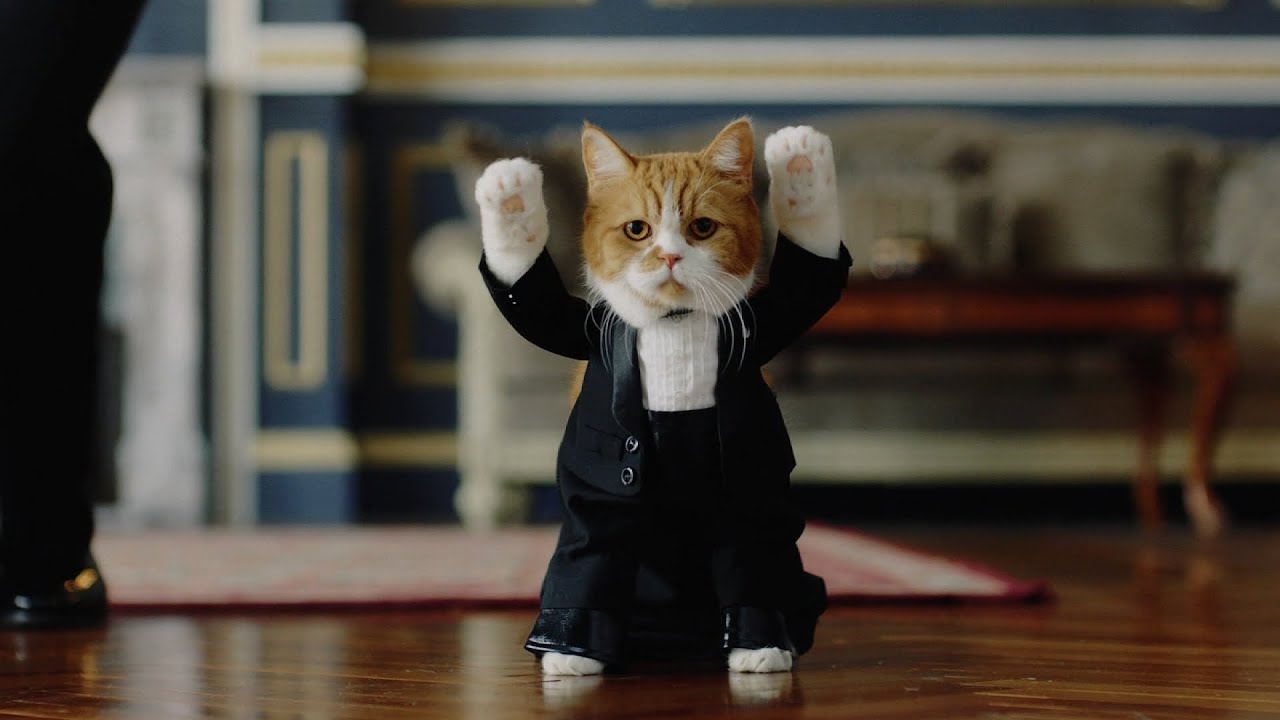 Y!mobile CM 「マジック」篇 30秒