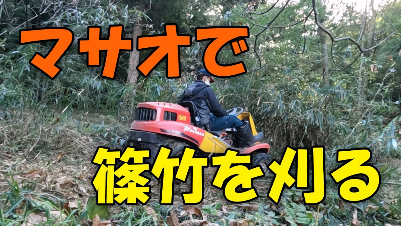 【Hey MASAO】マサオで篠竹刈り