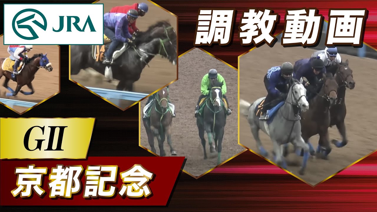 【調教動画】2023年 京都記念｜JRA公式