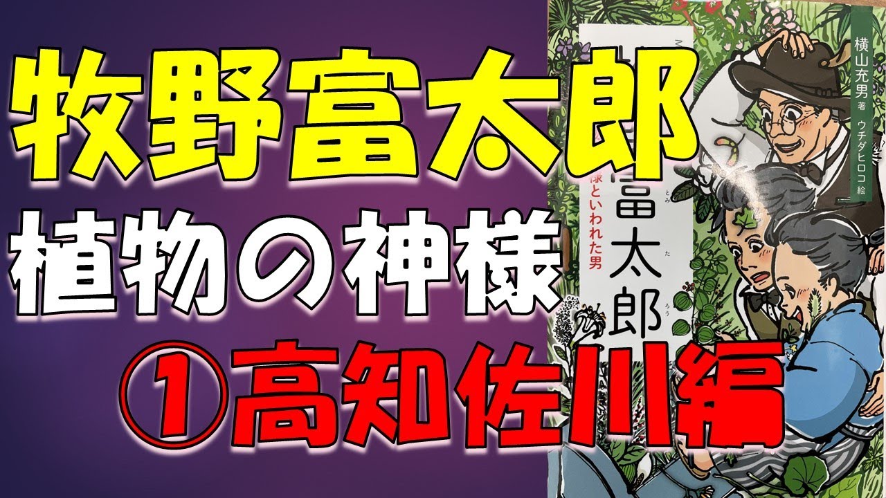 連ドラ「らんまん」のストーリー①【牧野富太郎】本要約・神木隆之介・浜辺美波・横山充男・ウチダヒロコ