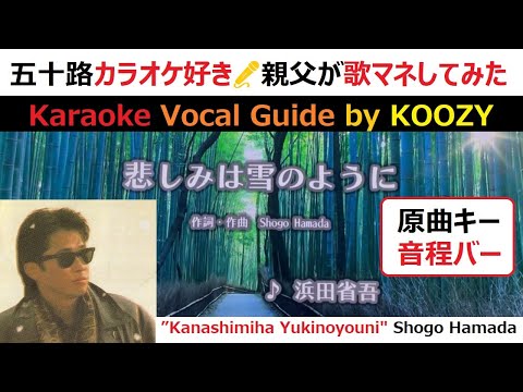 『悲しみは雪のように』 浜田省吾 【Full Karaoke ⛄ Vocal Guide】 ”Kanashimiha Yukinoyouni" - Shogo Hamada