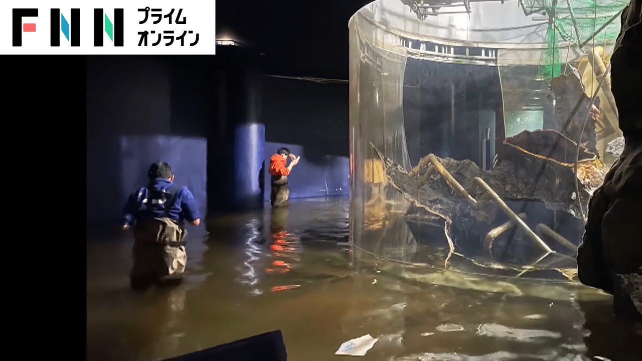 水槽が壊れ 水浸し　ピンチの博物館を西川貴教さんが激励