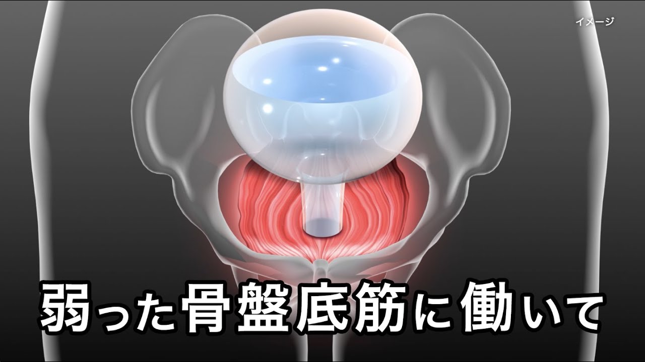 モレナクト「骨盤底筋に働いて」篇Ｄ（MRN-0009）