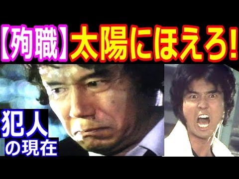 太陽にほえろ【殉職】した刑事 人気ランキング９選＆殉職させた犯人役たちの気になる現在 萩原健一、松田優作、勝野洋、宮内淳、渡辺徹 あの人の現在