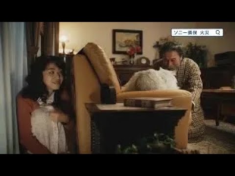 公式：ソニー損保の火災保険CM「火災保険とわたし（ネコ）」篇15秒