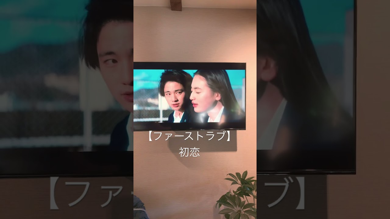 【ファーストラブ/初恋】切ないドラマ！Netflix限定ドラマ！佐藤健カッコ良い