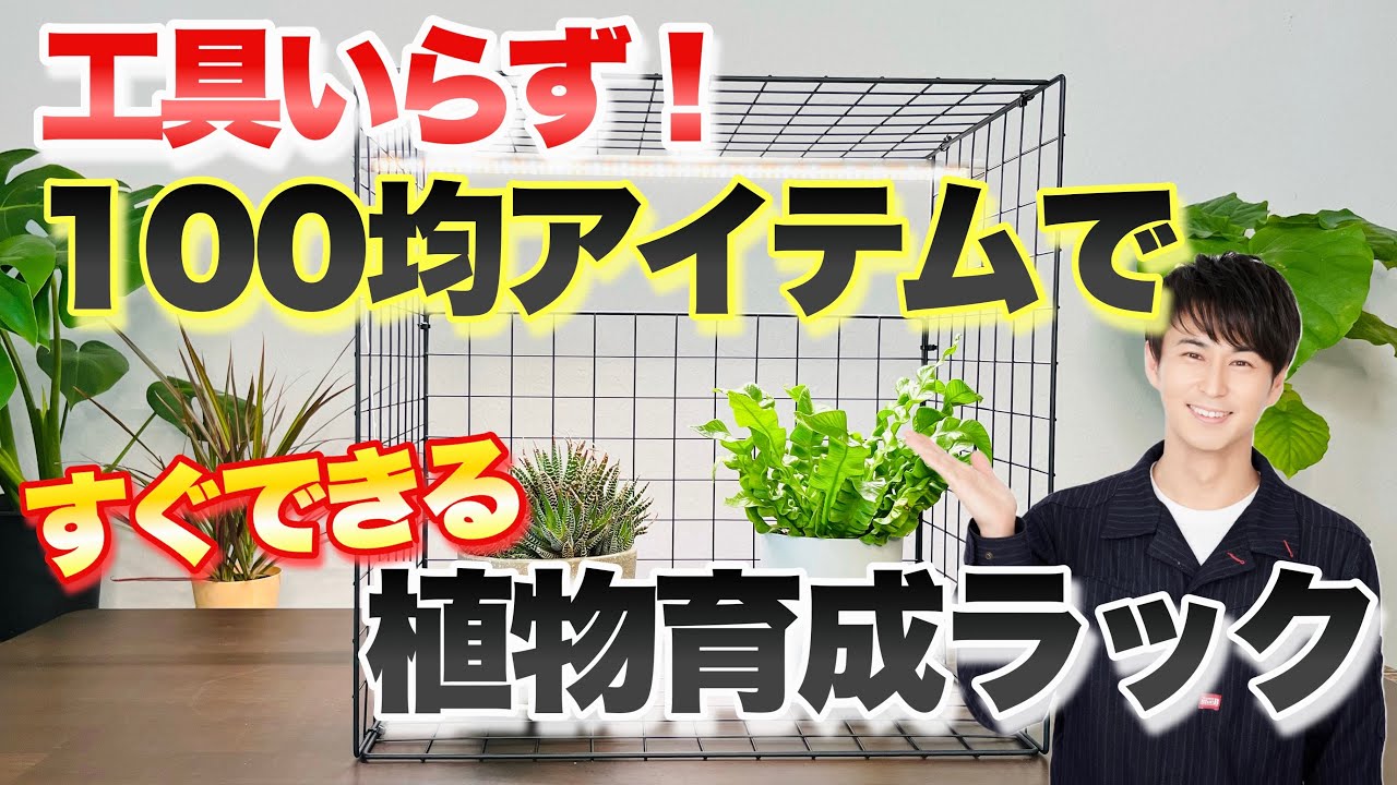 【新企画！】三上の園芸DIY  百均アイテムでオリジナル植物育成ラック【ガーデニング】【LEDライト】【園芸】