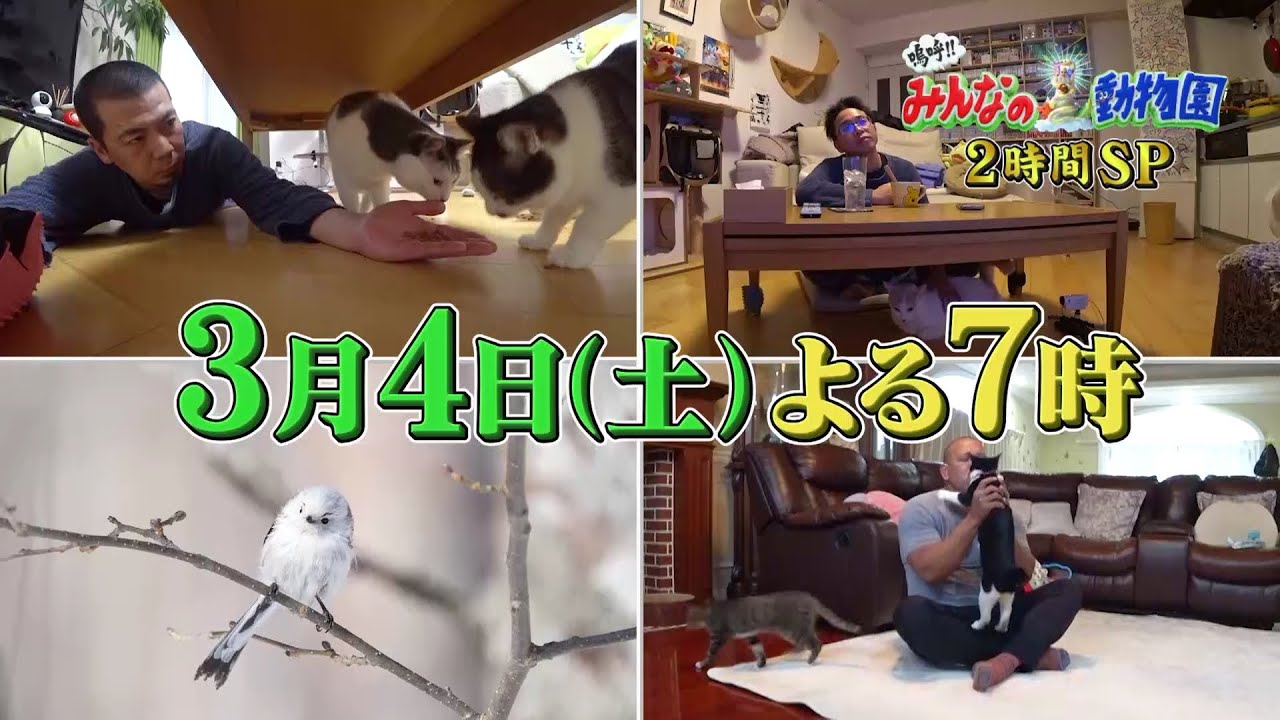 「嗚呼!!みんなの動物園」2時間SP 3月4日土曜よる7時放送！