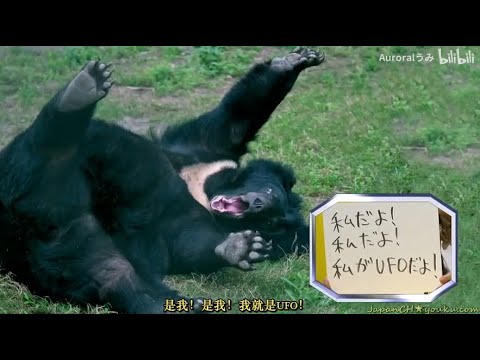 『IPPONグランプリ』🅷🅾🆃 「私だよ!私だよ!私がUFOだよ!」