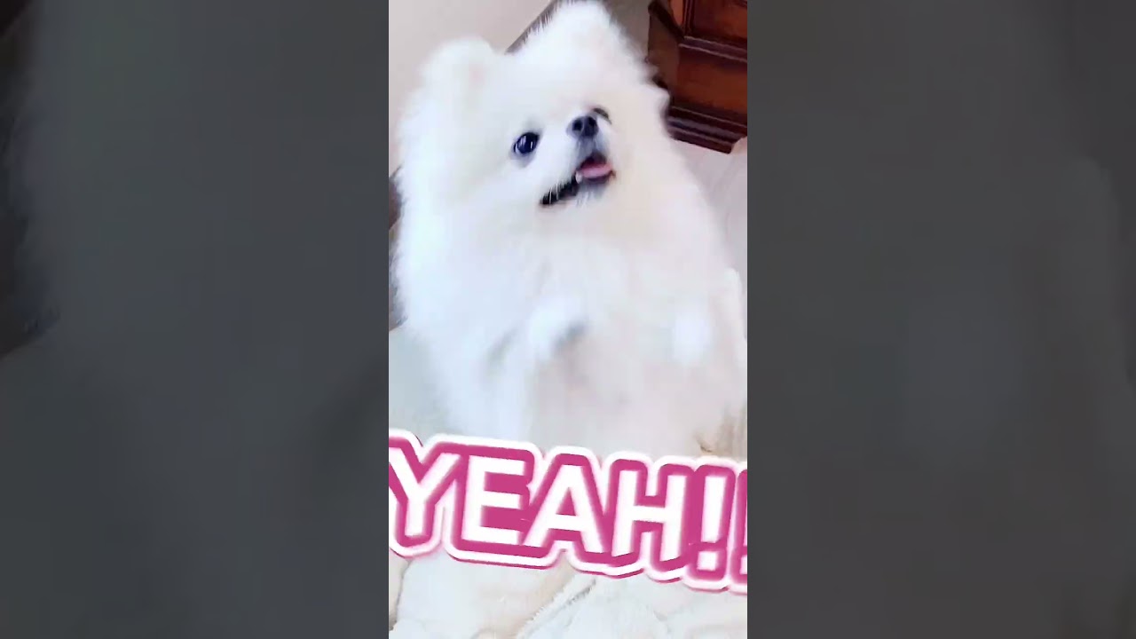 [こころTV] #Hack #末吉秀太 #Sueyoshi Shuta