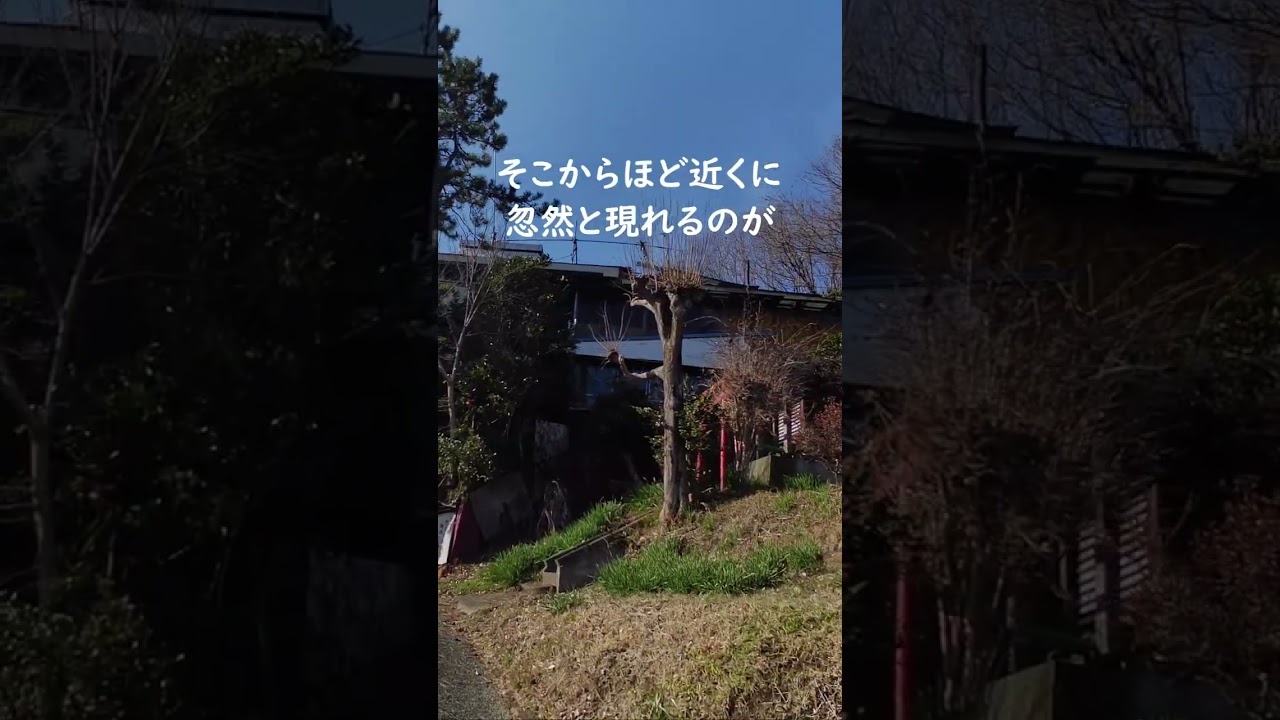 【バラック要塞】七国峠にそびえ立つ違法建築の砦～神奈川 平塚 #バラック要塞 #違法建築 #平塚