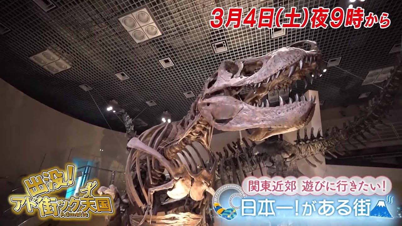 【予告】出没！アド街ック天国　～関東近郊 遊びに行きたい!日本一!がある街～