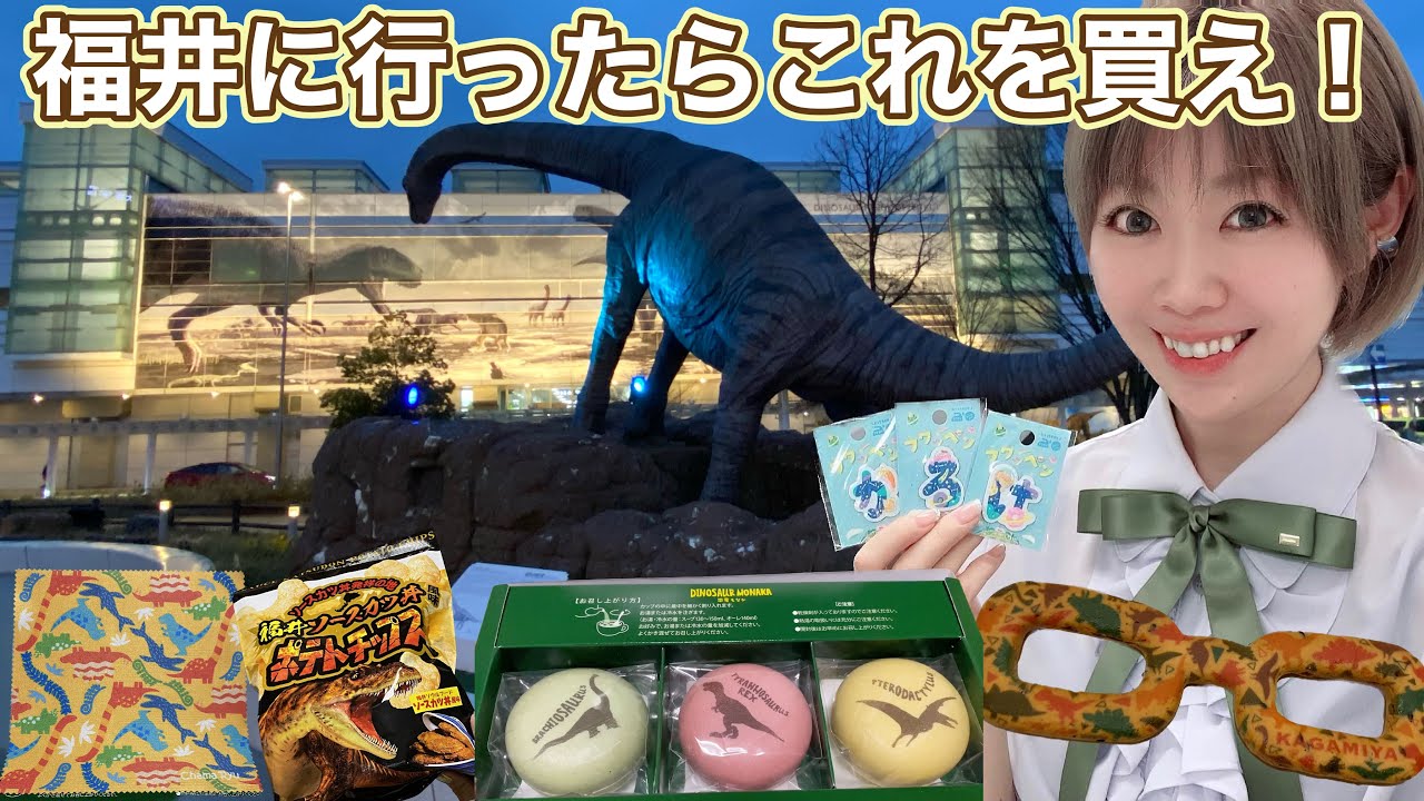 【恐竜王国】福井のお土産紹介【グッズ&お菓子】