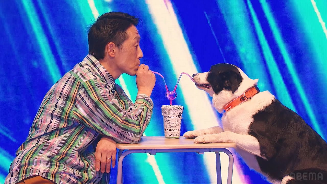 犬がお芝居を！？息ぴったりな哲郎とサニー🐶 | Japan's Got Talent 2023