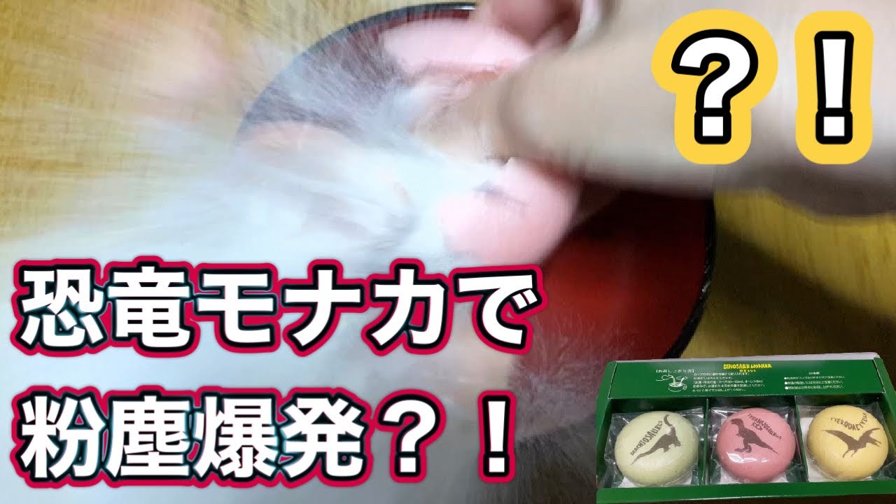 恐竜モナカ食そうとしたらしんだ
