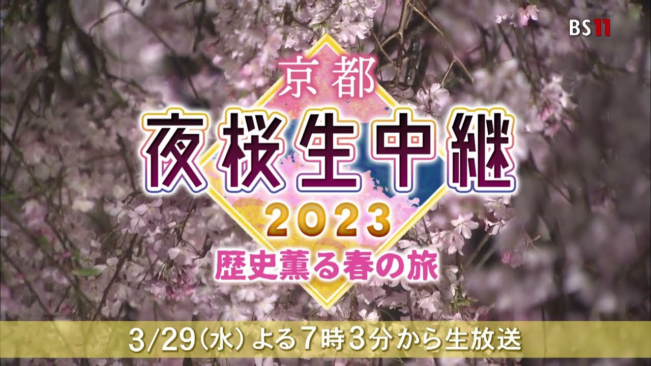 京都夜桜生中継2023～歴史薫る春の旅～（BS11／3月29日（水） よる7時03分　【司会】片岡愛之助、【ゲスト】橋本マナミ）