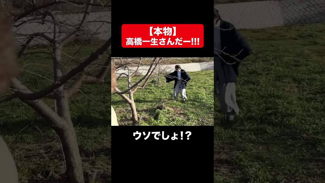 【本物】高橋一生さんだー！！！