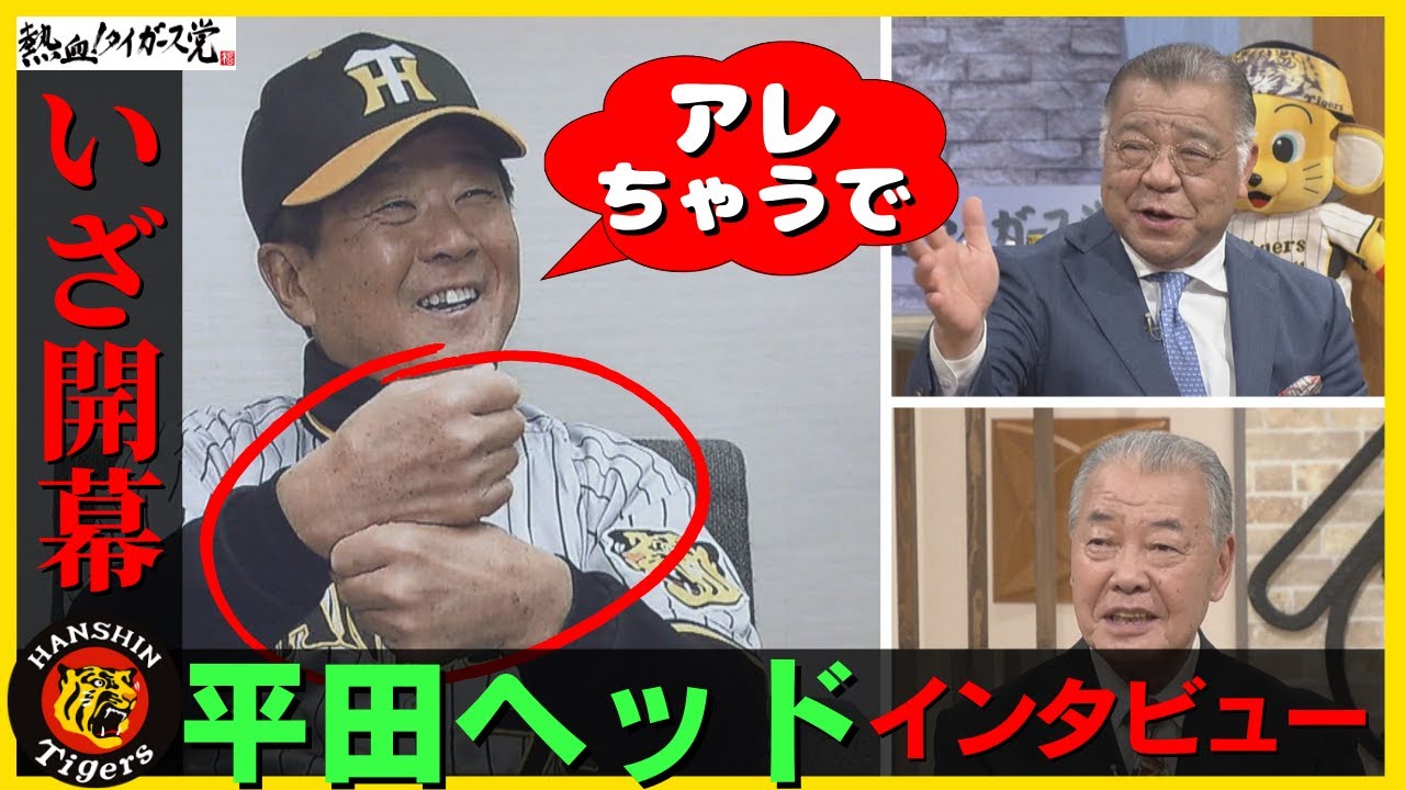「守り勝つ野球を」阪神タイガース 平田ヘッドコーチ開幕直前インタビュー #熱血タイガース党