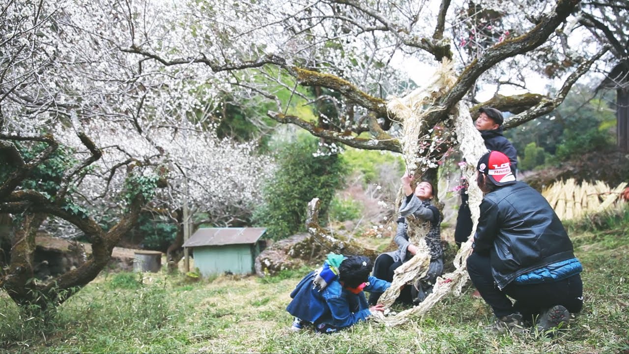 草木に学ぶ蘇生の道｜早春の祭典