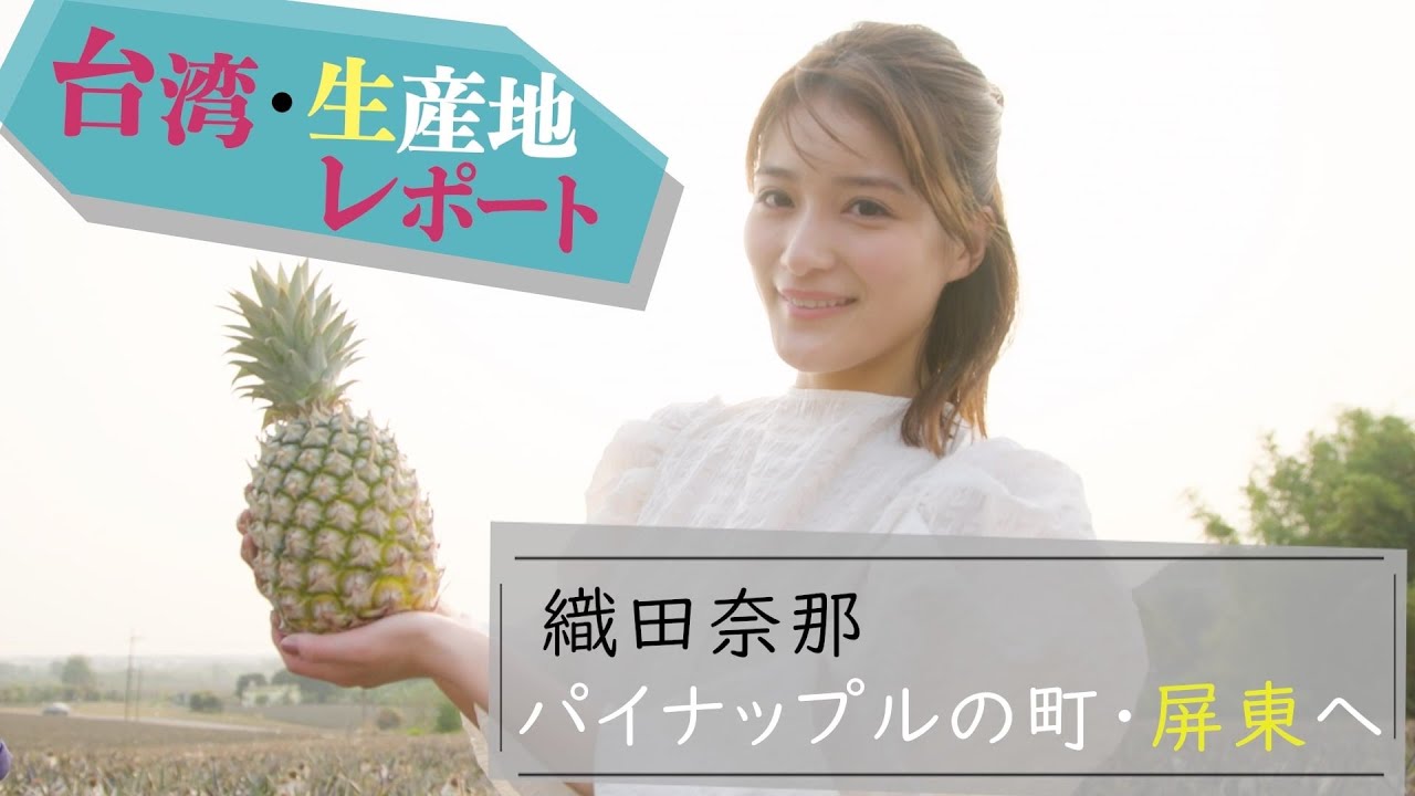 【織田奈那 from台湾！】台湾パイナップルの秘密に迫る！収穫までに○ヶ月!?品種は○種類!? 生産地からレポート！