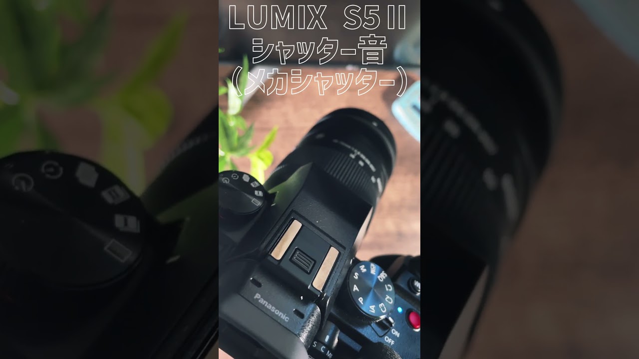 【シャッター音】LUMIX S5Ⅱ