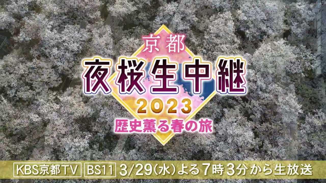 京都・夜桜生中継2023～歴史薫る春の旅×京都新聞社写真部「soradori」