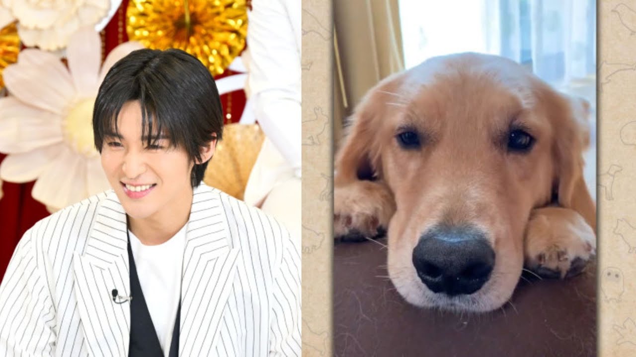 Snow Man 目黒蓮、愛犬の秘蔵映像を初公開　『笑える！泣ける！動物スクープ100連発』3時間SP出演